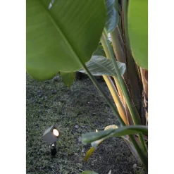 Spot De Jardin Faro Sobek Led Noir, 1 Lumiere
