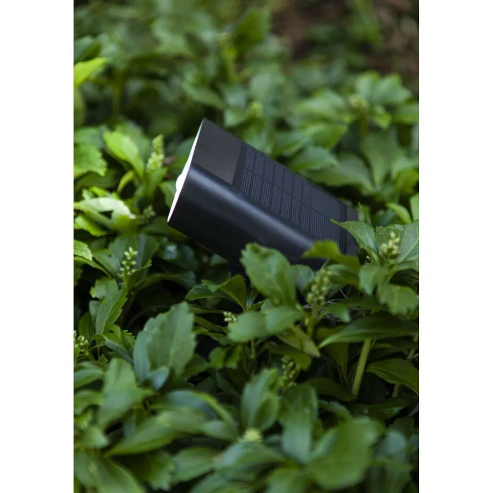 Spot De Jardin Lutec Ginbo Led Noir, 1 Lumiere, Detecteur De Mouvement, Changeur De Couleurs