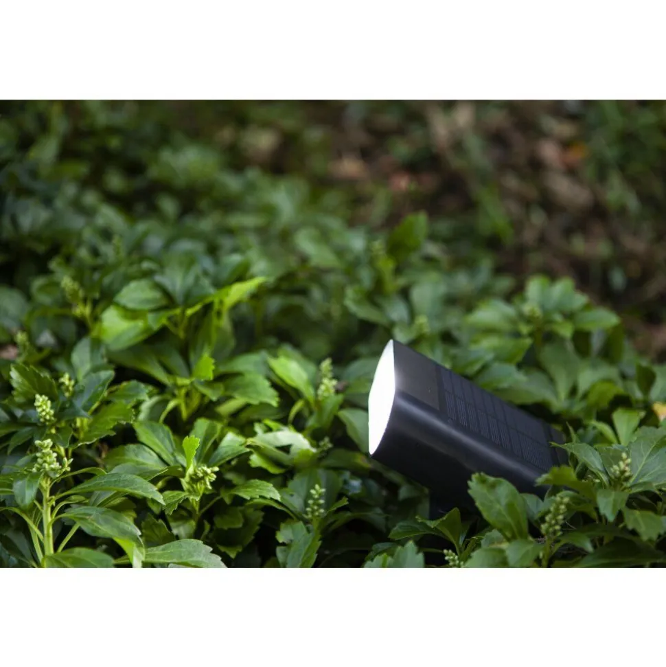 Spot De Jardin Lutec Ginbo Led Noir, 1 Lumiere, Detecteur De Mouvement, Changeur De Couleurs