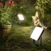 Spot De Jardin Paul-Neuhaus Romy Led Noir, 1 Lumiere