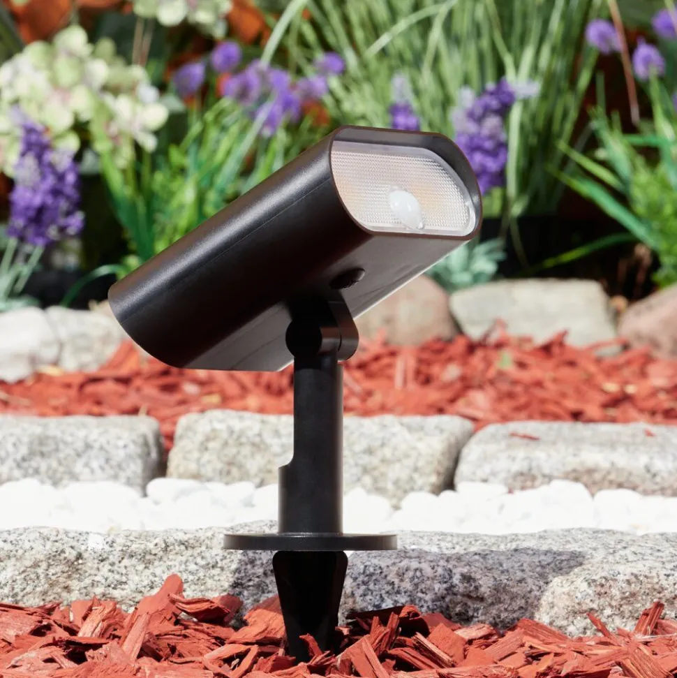 Spot De Jardinusmagama Solar Led Noir, 1 Lumiere, Detecteur De Mouvement, Changeur De Couleurs