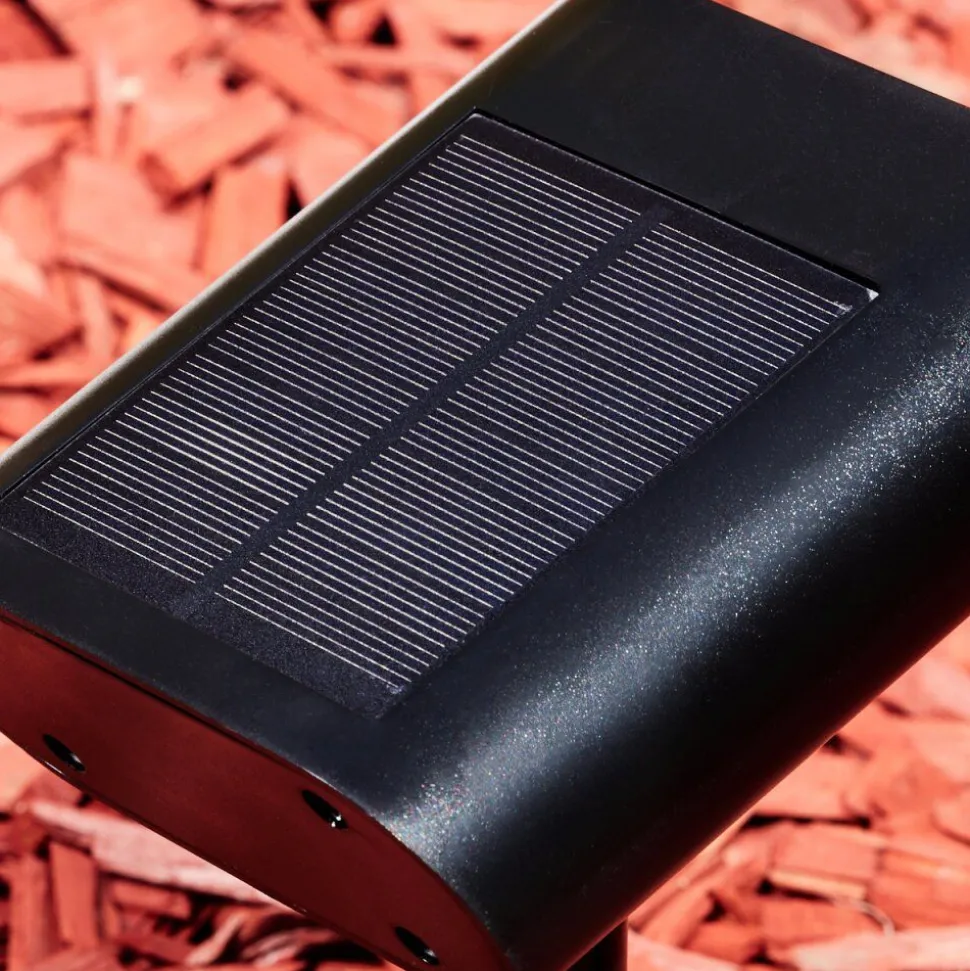 Spot De Jardinusmagama Solar Led Noir, 1 Lumiere, Detecteur De Mouvement, Changeur De Couleurs
