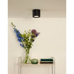 Spot De Plafond Lucide Fedler Noir, 1 Lumiere