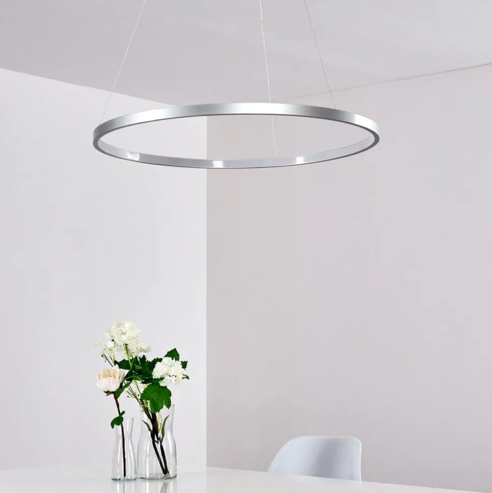 Suspension Canisteo Led Argente, 1 Lumiere