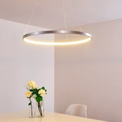 Suspension Canisteo Led Argente, 1 Lumiere