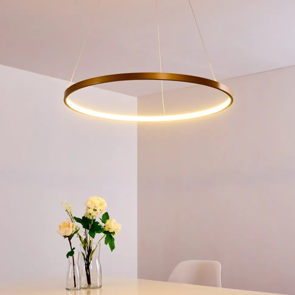 Suspension Canisteo Led Or, 1 Lumiere