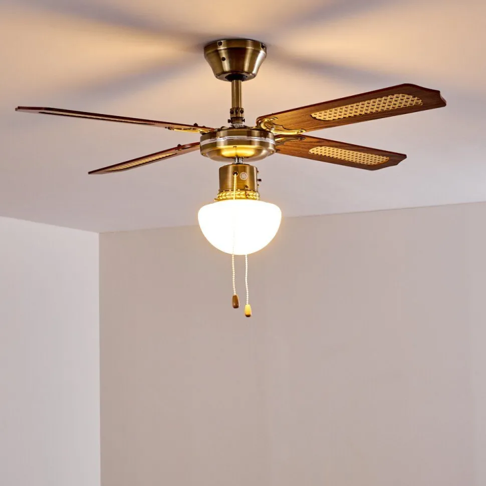 Ventilateurs De Plafond Morea Vieux Laiton, Bois Fonce, 1 Lumiere