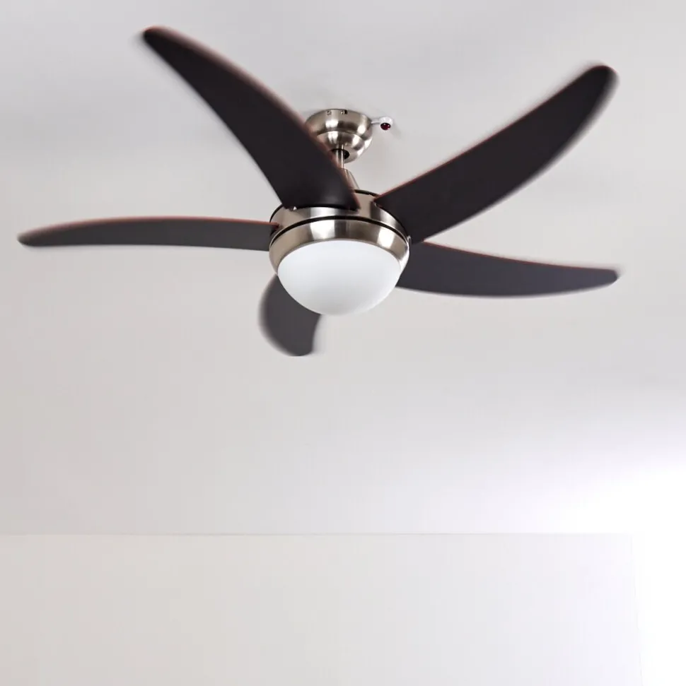 Ventilateurs De Plafond Morino Brun, Nickel Mat, 2 Lumieres, Telecommandes
